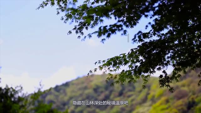 小猫钓鱼开船版最新版下载