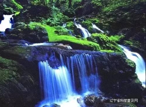 燃烧吧大脑装瓶子游戏