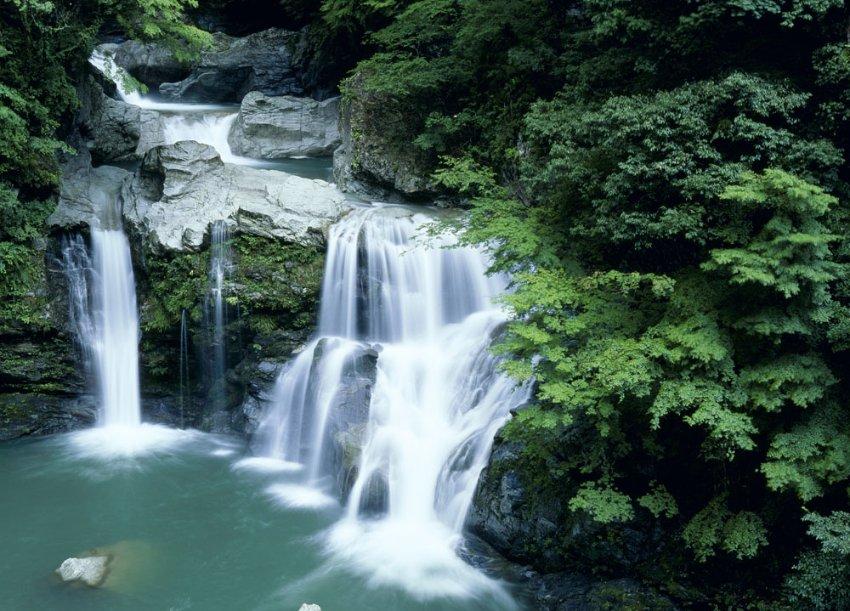 最高检全国妇联共同印发加强司法救助协作典型案例
