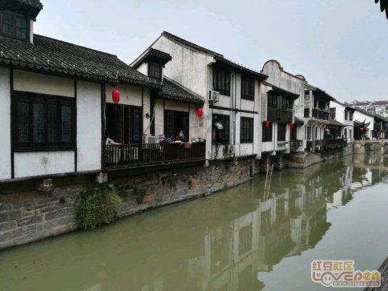 郑钦文晋级澳网女单决赛:实力在线,更有运气加持